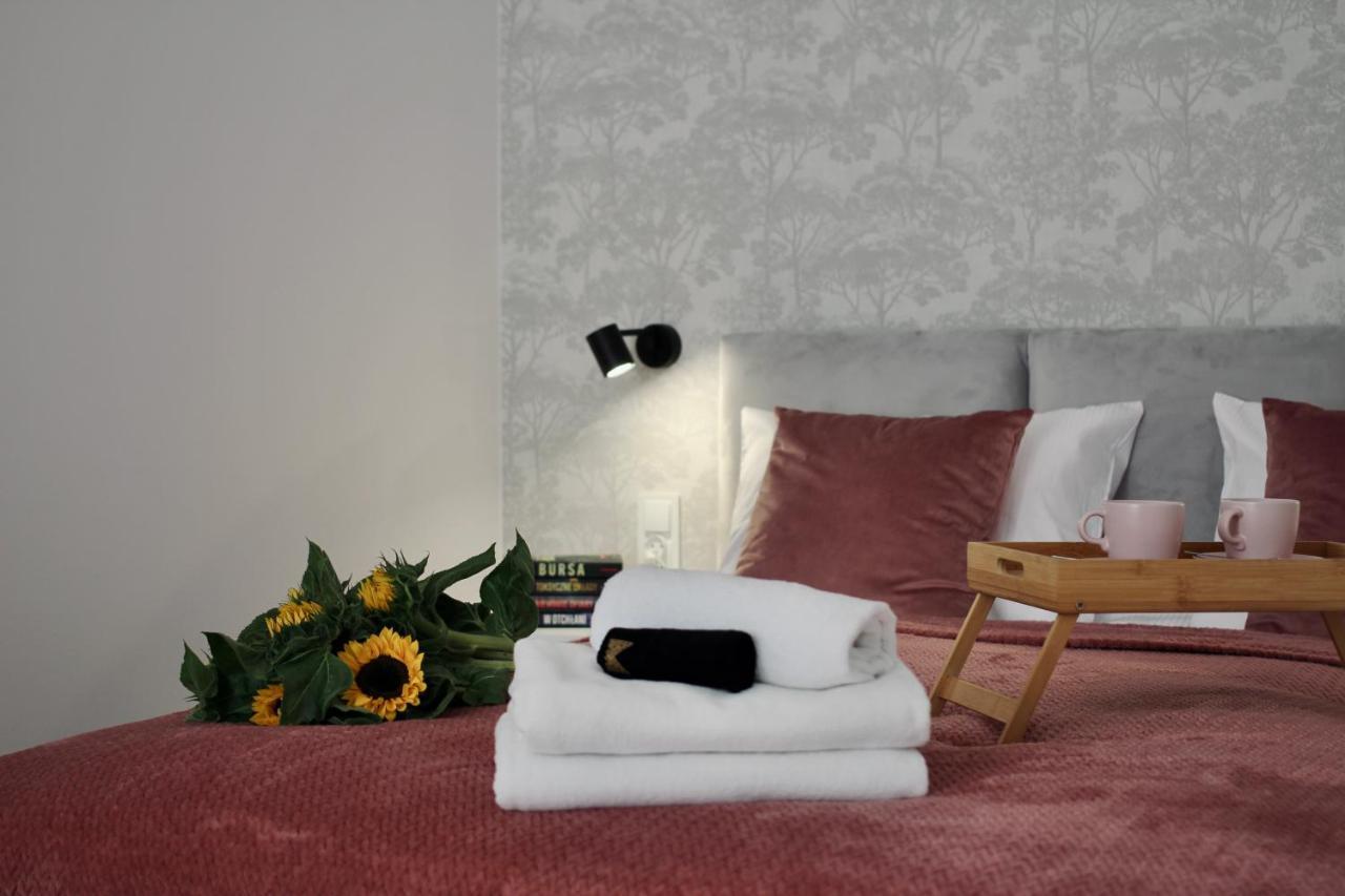 Luna Apartments Jelenia Góra Zewnętrze zdjęcie